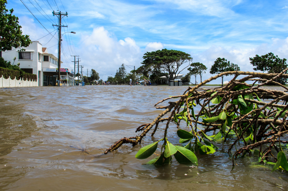 South Australians Warned To Prepare For Flooding Insurance Business