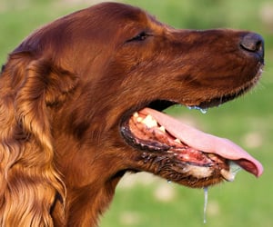 Case Study: Australia Post’s employee lead referral program