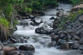 Far Out Friday: Should your office pipe in the sound of a mountain stream?