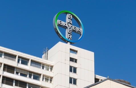 Bayer mulling job cuts after R&D review: report