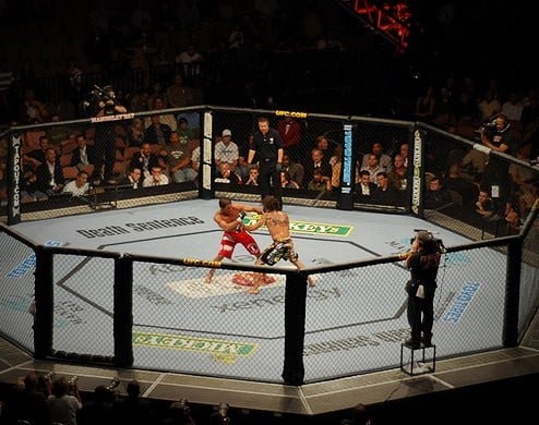 Eight firms snag roles in mega UFC sale