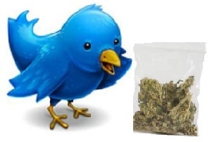 Tweets, weed and work