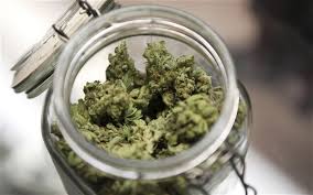Banning medicinal marijuana is “un-Canadian,” says lawyer