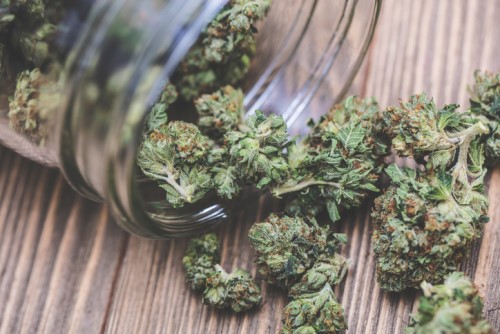 4 things employers need to know about marijuana