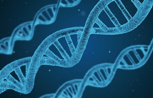 Australian insurers’ use of genetic information cause concern