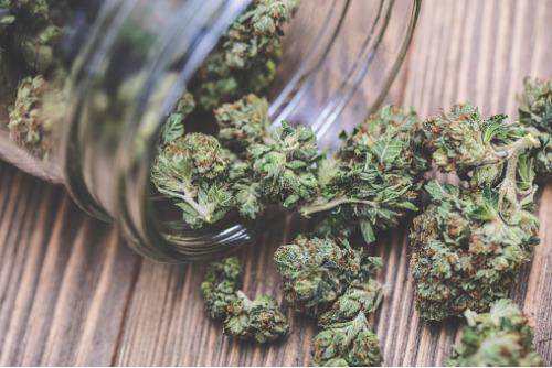 Claims and risk management solutions provider takes on pot