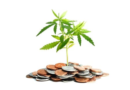 Millennials to spur growth in pot investments