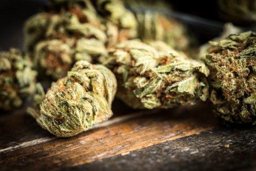 Losses suffered by marijuana ETF
