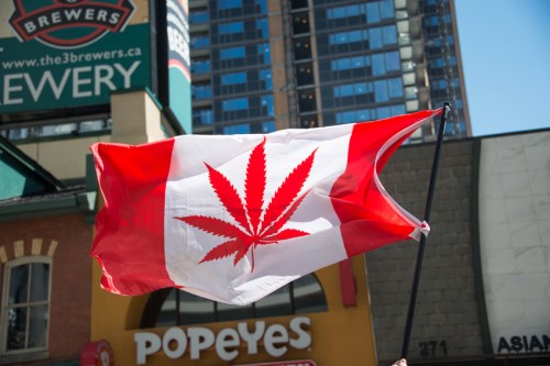 Majority of Canadian parents concerned about pot legalization