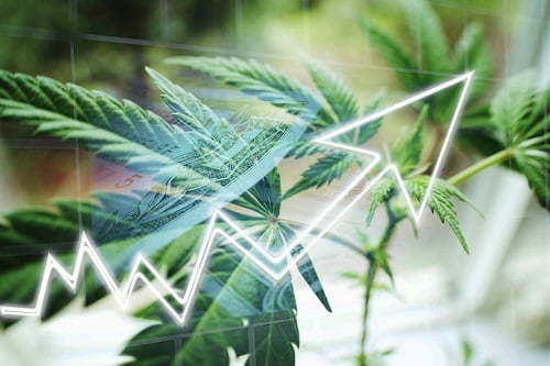 Access a new frontier: investing in marijuana using Horizons’ ETFs
