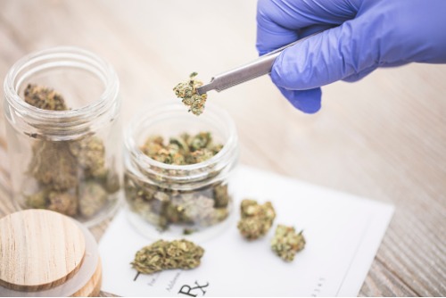 Canadian insurer introduces first guaranteed-issue policy covering medical pot