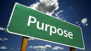 Drive your company’s ‘purpose’ to boost business