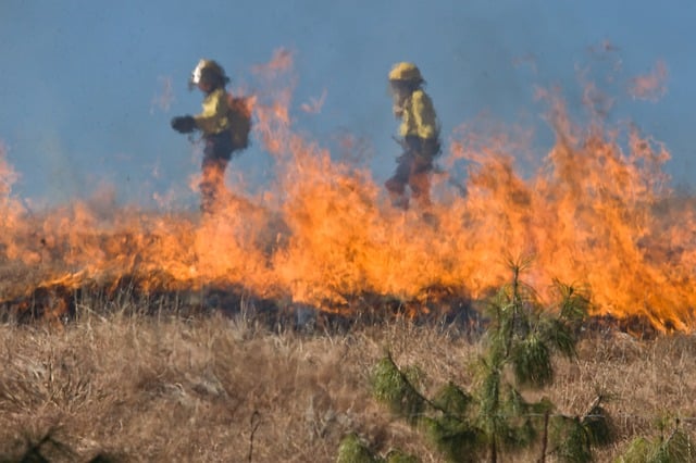 Cancer claims from Hamilton firefighters are double the provincial rate