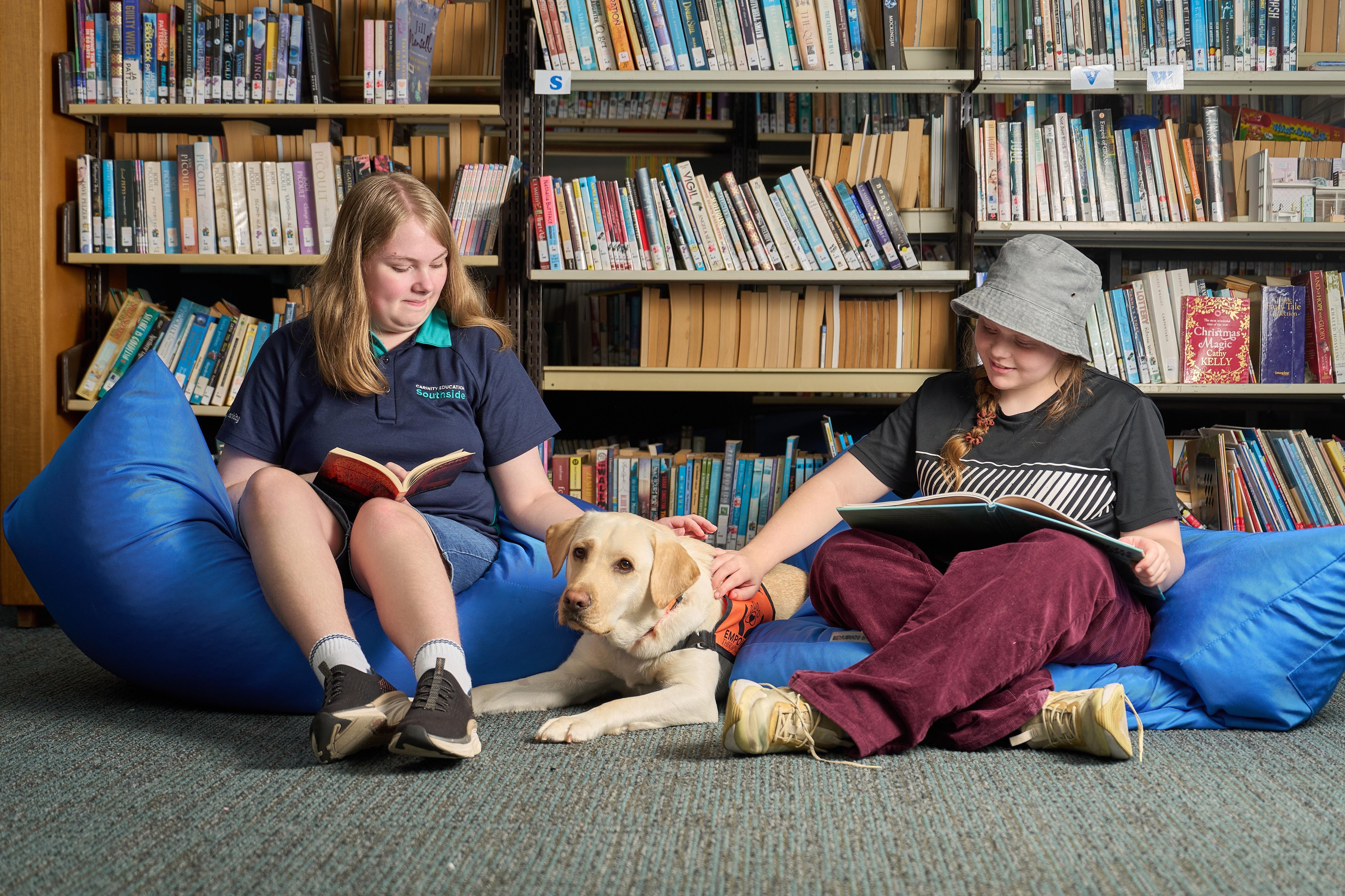 Therapy dogs in schools: Brisbane program expands with donated Labrador