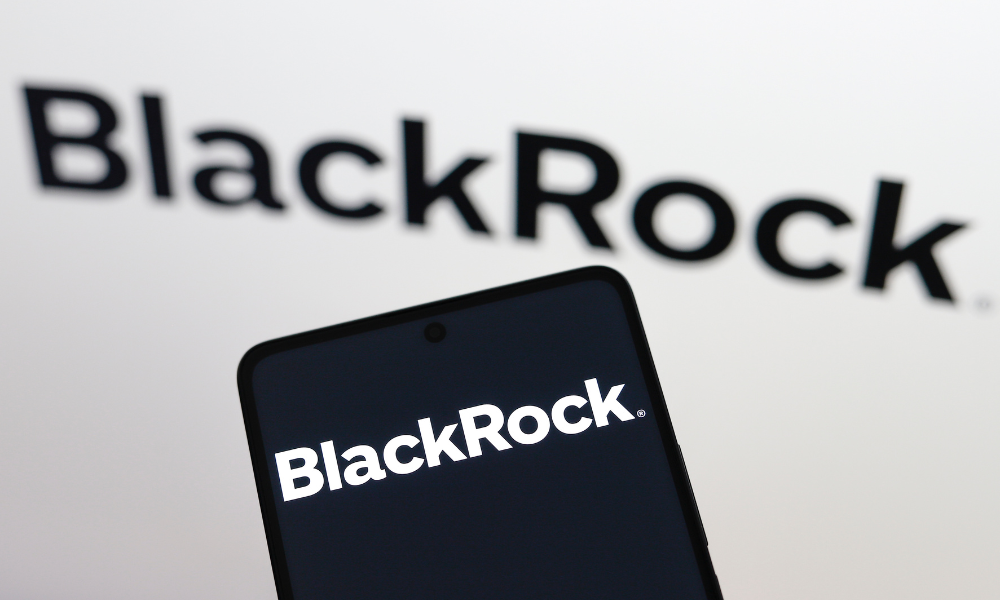 BlackRock says political pressure on pensions risks hurting savers