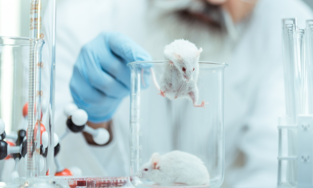 Animal rights group celebrates groundbreaking legislation that phases out toxicity tests on animals