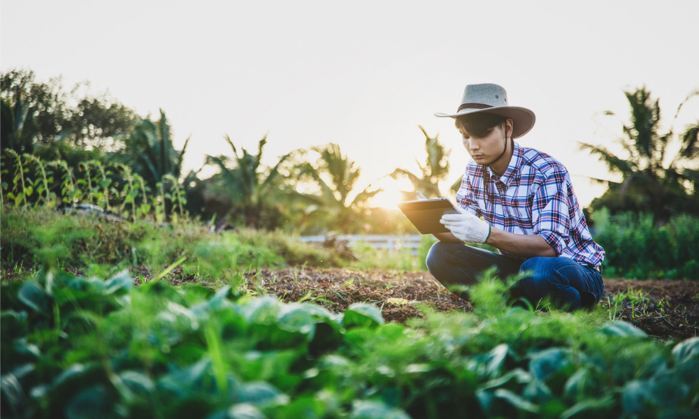 Son’s contributions weren’t gifts despite ‘not wanting anything from the family farm’: court