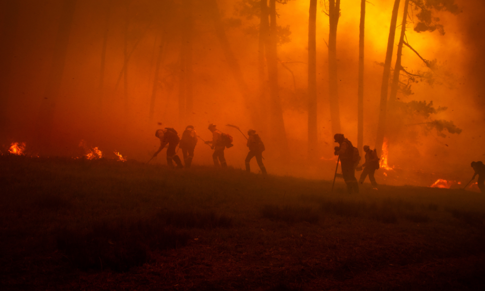 California courthouses close as wildfires continue to ravage LA county