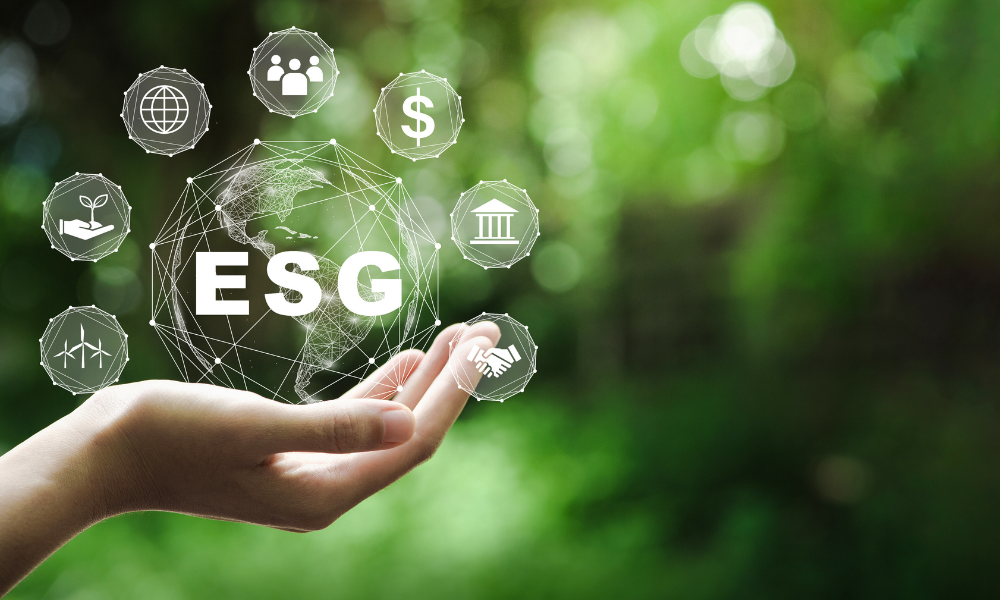 Making companies accountable for ESG and DEI