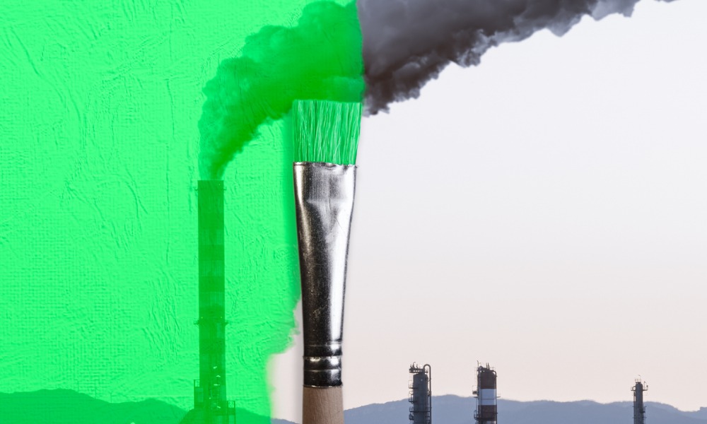 Greenwashing: How companies should manage their risks and obligations on sustainability and ESG