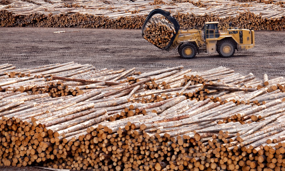 B.C. opens forestry job placement offices in 5 communities