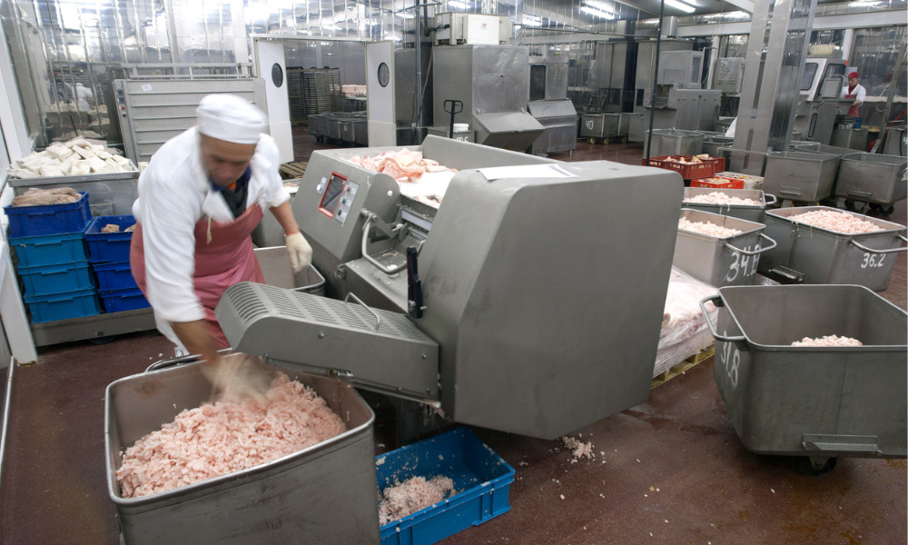 Funding helps with skills gap in food and beverage processing