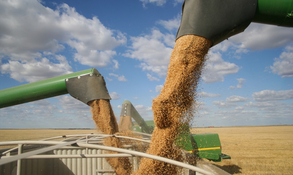 Grain and oilseed industry facing labour shortage: report