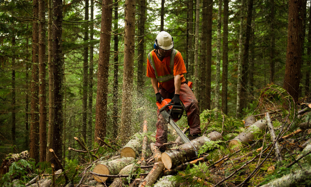 Feds invest in green jobs for youth