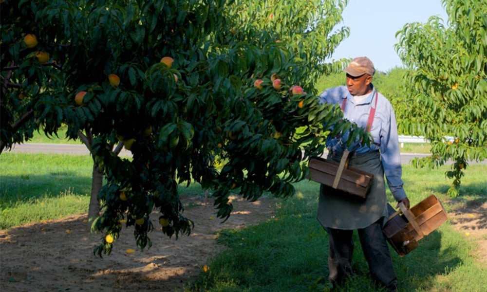 Feds boost funding for safety efforts on farms