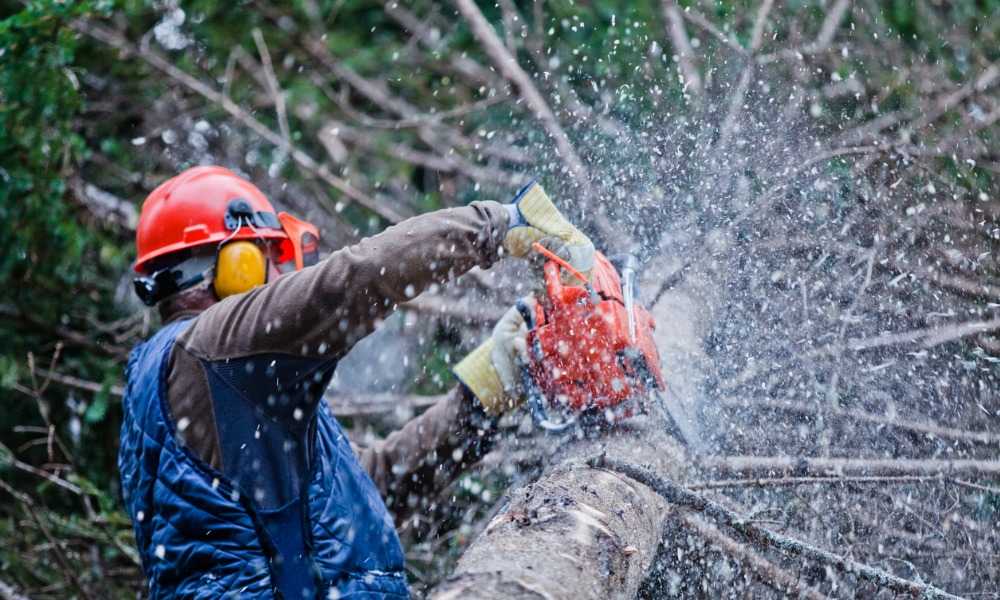 Early retirements, new jobs for young workers boost forestry in B.C.