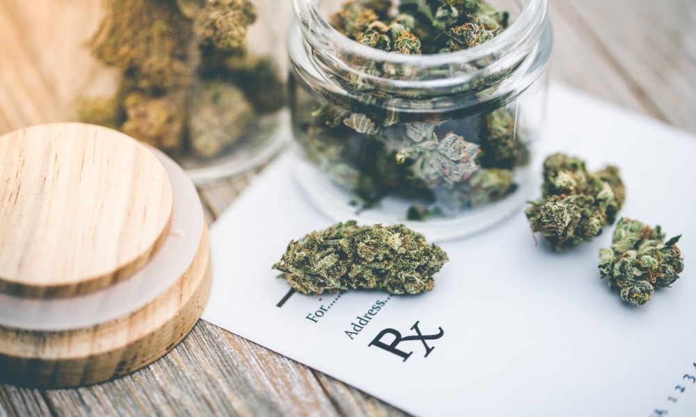 Medical marijuana – balancing accommodation and workplace risk