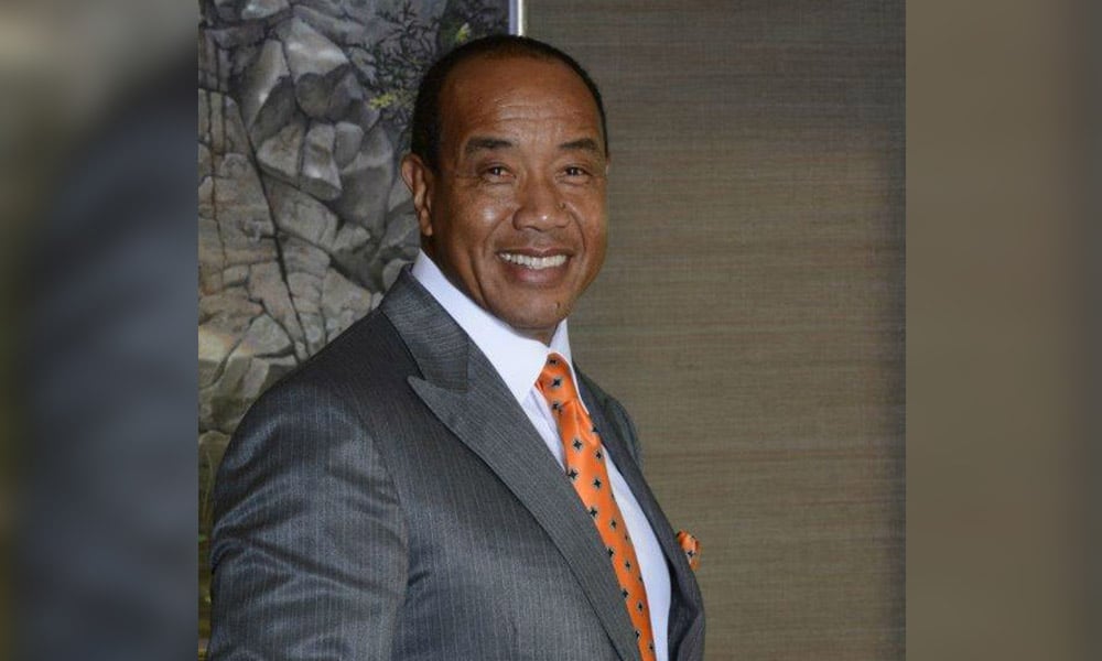 Michael Lee-Chin, Portland Holdings/Mandeville Group