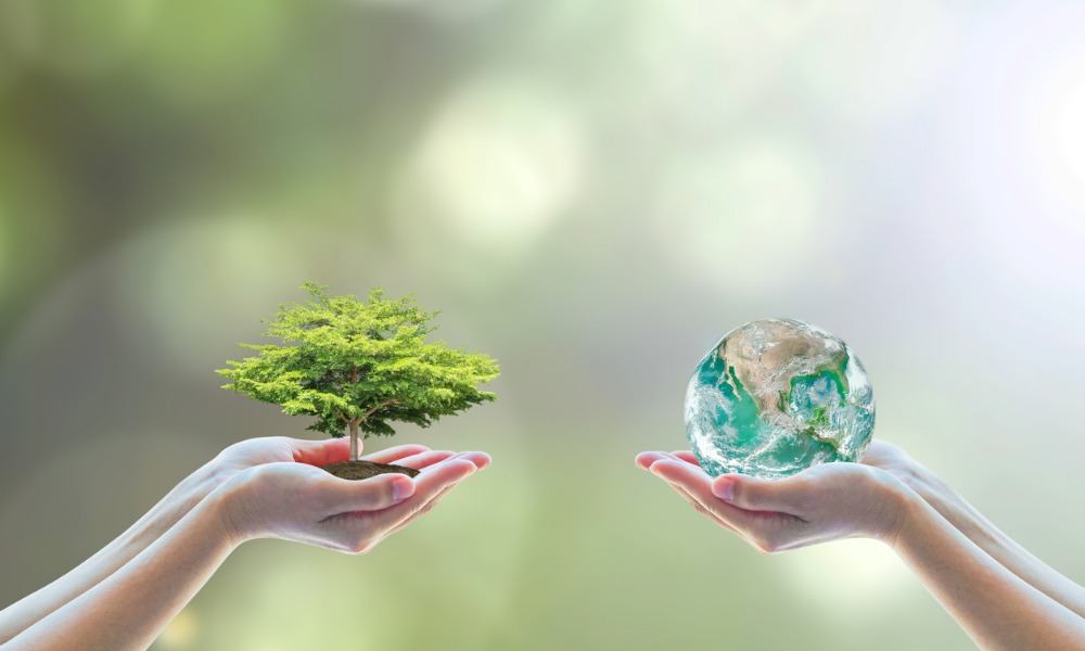 Planting seeds of sustainability in retail portfolios