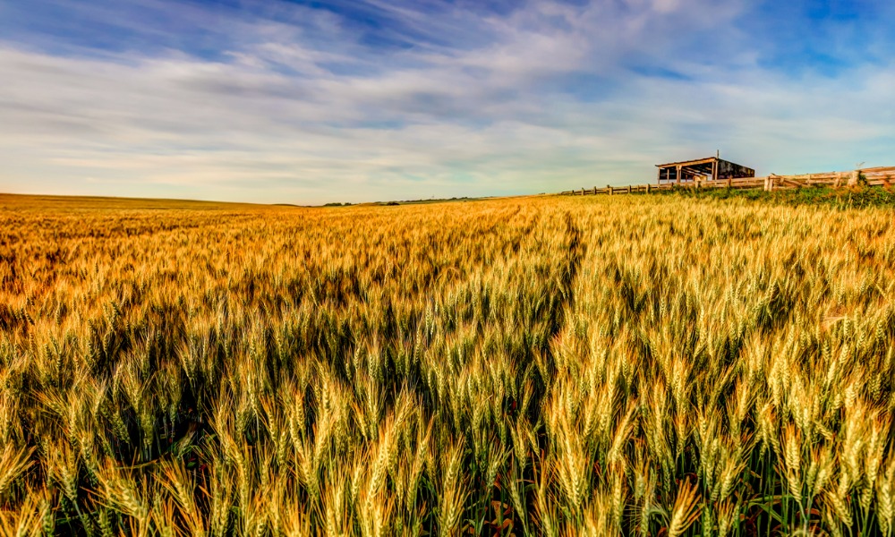 The growing investment appeal of Canadian farmland