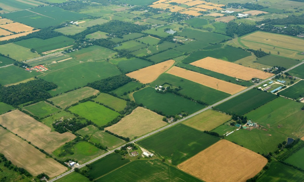 How investors can reap rewards from Canadian farmland