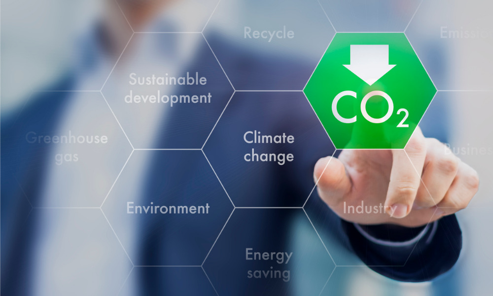 How NEI ensures real commitment to net-zero carbon goal