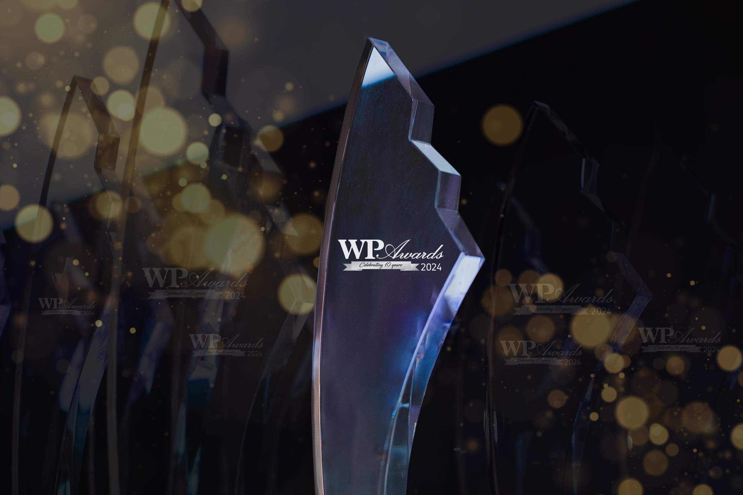Wealth Professional Awards 2024