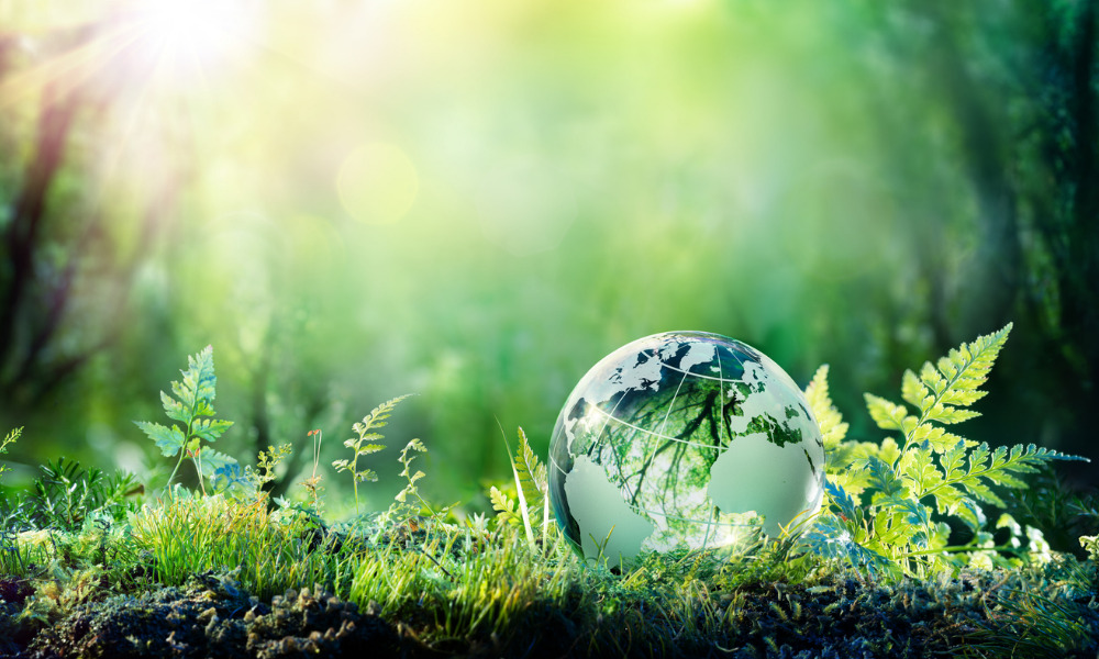 Environmental sustainability jumps in importance to portfolios