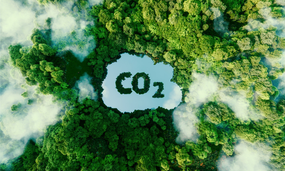 Enhancing sustainable opportunities using carbon transition strategies
