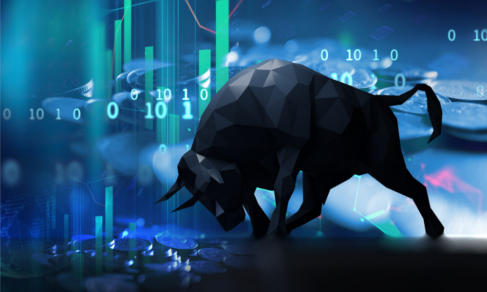 What could investors expect from the next bull market?