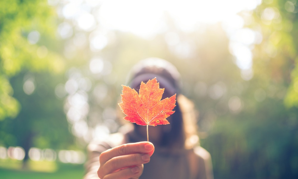 Canadian women look eye self-employment as wealth builder