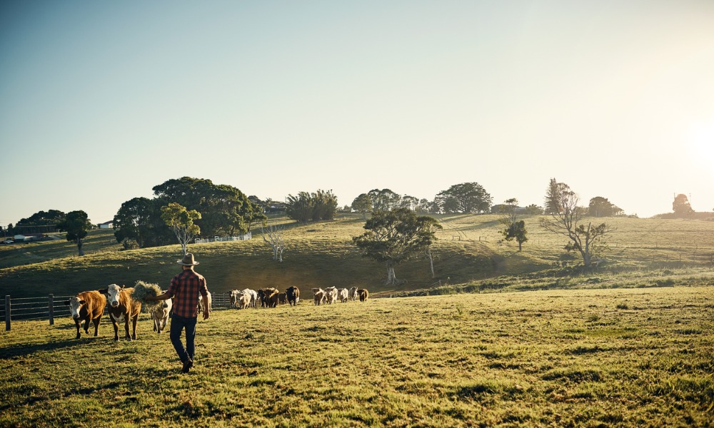 Canadian farmland value up 11.5% in 2023