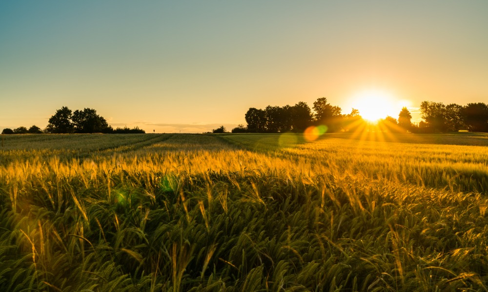 Could returns be growing on Canadian farms? 