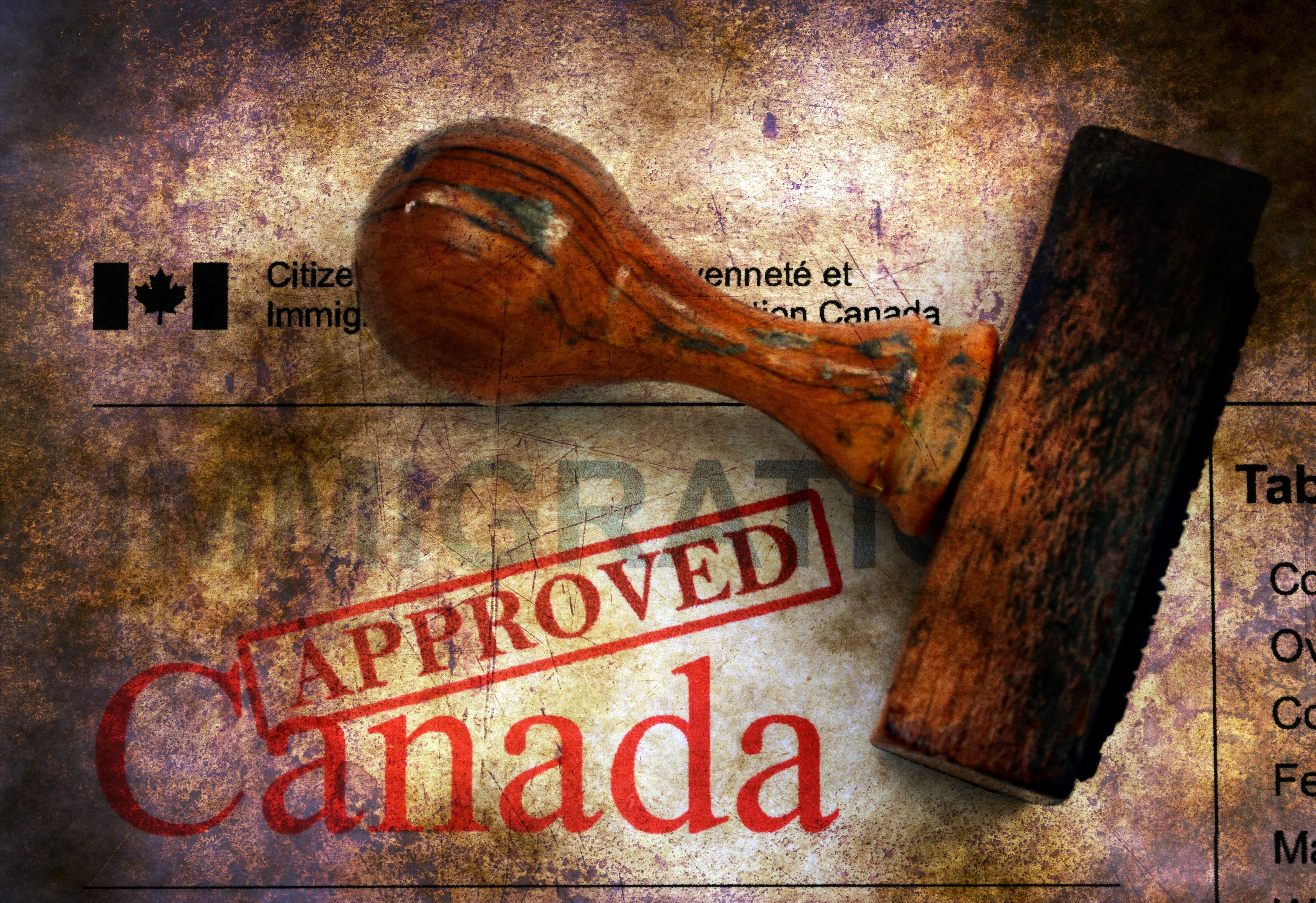 How does customs work in Canada? Find out the recent changes and highlights
