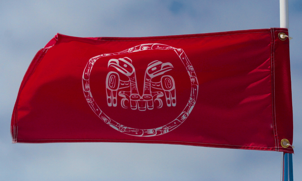 What does 'good' Indigenous consultation look like?