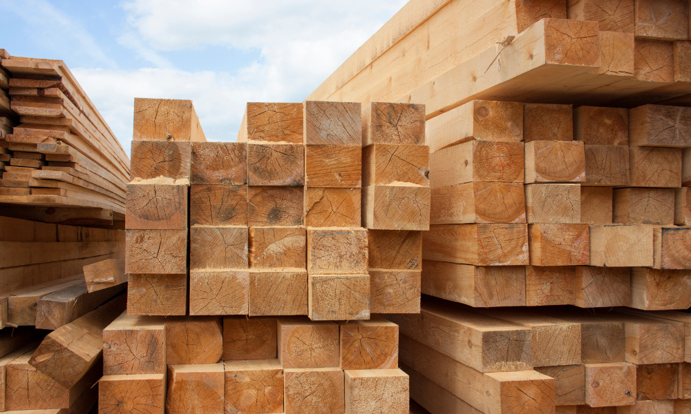 Prime minister shares measures aiming to improve softwood lumber sector