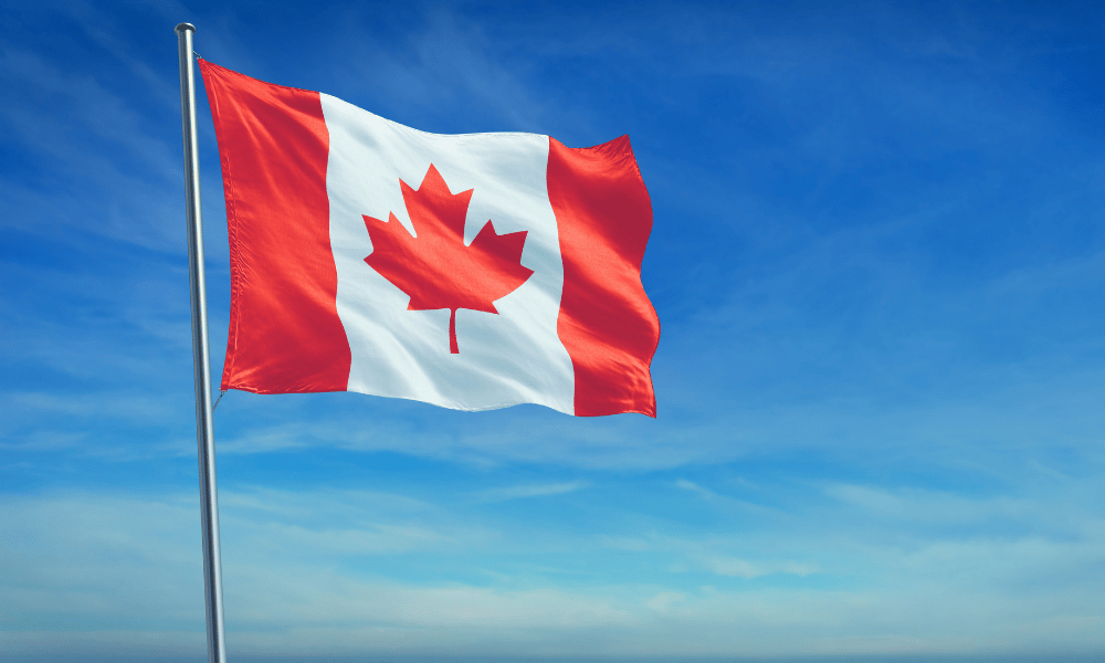 New report highlights value chain gaps hindering Canada’s progress
