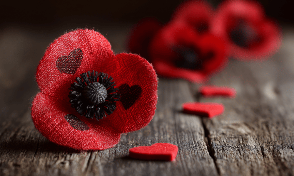 ‘This is disgusting’: Premier condemns poppy ban in court facilities
