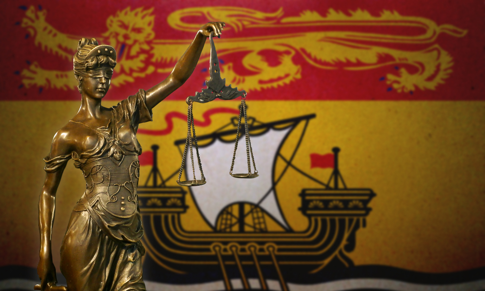 NB Court of Appeal partly allows appeal to correct monthly child support