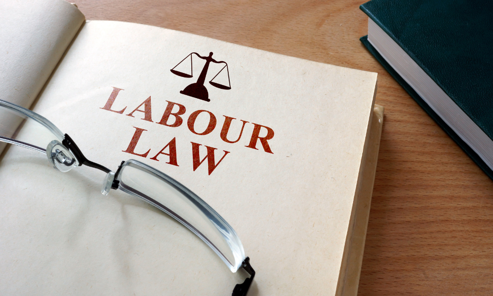 Bill C-58, limiting use of replacement workers amid federal labour disputes, now in effect